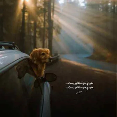 دانلود آهنگ دعای قلب مجروحم اگه پشت سرم باشه محسن چاوشی
