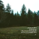 دانلود آهنگ شد فصل گل و من دور از آن ماهم غلامحسین بنان دانلود آهنگ شد فصل گل و من دور از آن ماهم غلامحسین بنان