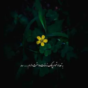 دانلود آهنگ مهیار اون مثل داداشمه هنوز