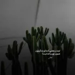 دانلود آهنگ مهدی احمدوند بنام فراموشی هوش مصنوعی دانلود آهنگ مهدی احمدوند بنام فراموشی هوش مصنوعی
