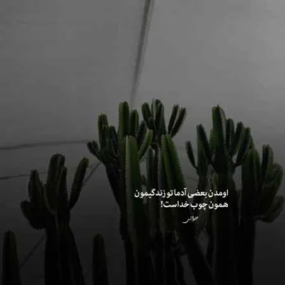 دانلود آهنگ مهدی احمدوند بنام فراموشی هوش مصنوعی
