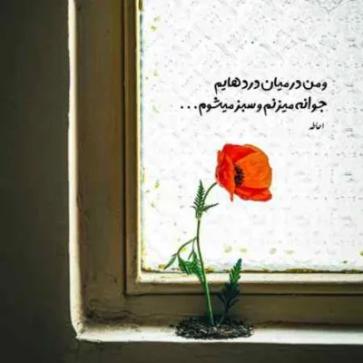 دانلود آهنگ  بی تو با بغضم تو بگو چه کنم مهرواد