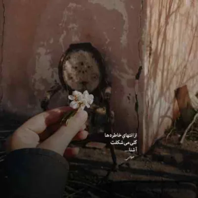 دانلود آهنگ آرزوی من تو بودی چی شد یه دفعه بد شدی میثم زارع
