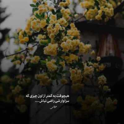 دانلود آهنگ  میخونم هرگز از یادم نمیری زدی توی وجودم برگ و ریشه قمیشی
