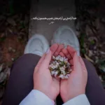 دانلود آهنگ مثل ماه برق میزنی چه قشنگ حرف میزنی محسن شریفی