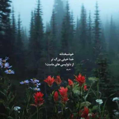 دانلود آهنگ زری زری پاوردار مجتبی بدری