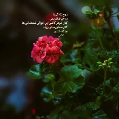 دانلود آهنگ از راه رسیدی روتو از ما کردی رفتی مسلم فتاحی دانلود آهنگ از راه رسیدی روتو از ما کردی رفتی مسلم فتاحی