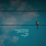دانلود آهنگ زود برگرد پیشم دارم دیوونه میشم نگار دانلود آهنگ زود برگرد پیشم دارم دیوونه میشم نگار