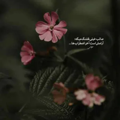 دانلود آهنگ  سامان جلیلی و مهدی احمدوند درد هوش مصنوعی