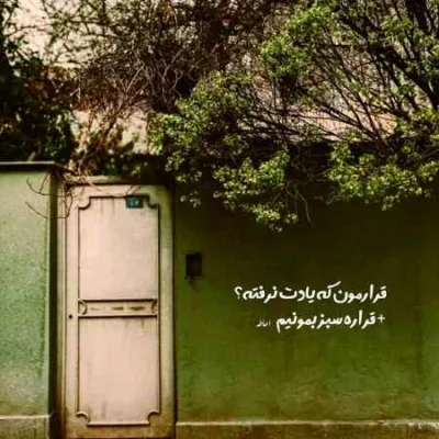 دانلود آهنگ Zahia Sarah Sophia و Sharafova