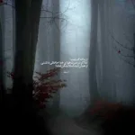 دانلود آهنگ نیاز من به حس تو مثل نماز عاشقاست شهاب تیام دانلود آهنگ نیاز من به حس تو مثل نماز عاشقاست شهاب تیام