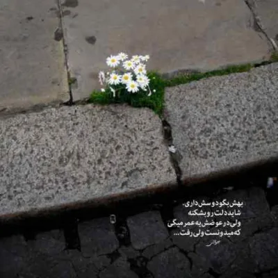 دانلود آهنگ  شایان یو بنام تراپ ناله
