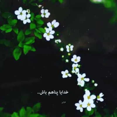 دانلود آهنگ  تورگی شایع مسلک مهدیار ناجی