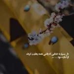 دانلود ریمیکس وداع ۲ علی سورنا گاد پوری شایع