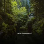 دانلود آهنگ اونلار آرکادان هاولار لار لار وار وار وار ترکی دانلود آهنگ اونلار آرکادان هاولار لار لار وار وار وار ترکی