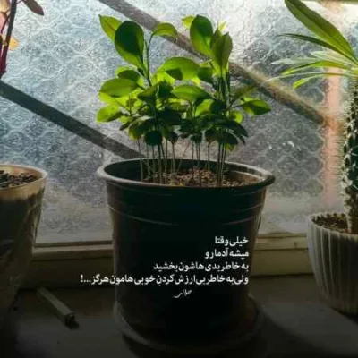 دانلود آهنگ یا خودزنی میکنم یا خودخوری و خودکشی رامین تجنگی