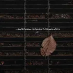 دانلود آهنگ ﻳﻪ ﺟﻮری ﻋﺎﺷﻘﻢ ﻛﻪ ﺑﺎ ﺗﻮ ﺣﺎﺿﺮم ﺗﺎ ﺧﻮد ﻣﺎه ﺑﺮم دکاموند دانلود آهنگ ﻳﻪ ﺟﻮری ﻋﺎﺷﻘﻢ ﻛﻪ ﺑﺎ ﺗﻮ ﺣﺎﺿﺮم ﺗﺎ ﺧﻮد ﻣﺎه ﺑﺮم دکاموند
