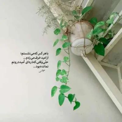 دانلود آهنگ پژمرده ریبار سورنا سجاد شاهی شایع بهرام مهیاد دانیال