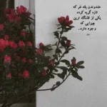 دانلود آهنگ تو شدی ماه و من غلام درگاه تو امیر شهرایینی دانلود آهنگ تو شدی ماه و من غلام درگاه تو امیر شهرایینی