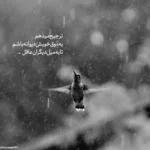 دانلود ریمیکس با یه شراو چند ساله ﺣﺎﻟﻢ یه کم آراﻣﻪ حمیدرضا بابایی و آوات بوکانی