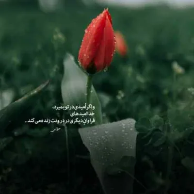 دانلود آهنگ  دیشب خواب میدیدم عقدت میکردم صادق بوقی